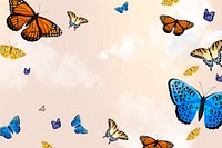 Colorful sky butterfly illustration background