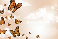 Aesthetic butterfly sky illustration background