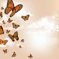 Orange butterfly sky illustration background