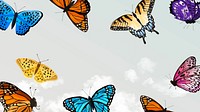 Beautiful butterfly sky desktop wallpaper