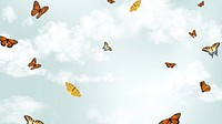 Beautiful butterfly sky desktop wallpaper