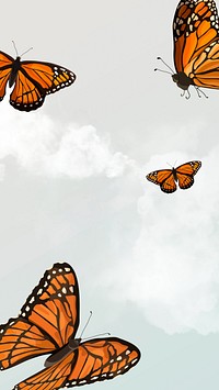 Beautiful butterfly sky phone wallpaper