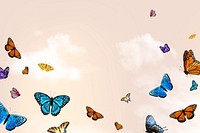 Aesthetic butterfly illustration background