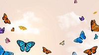 Beautiful butterfly cloud desktop wallpaper