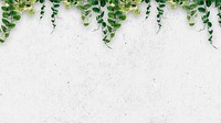 White plant botanical computer wallpaper