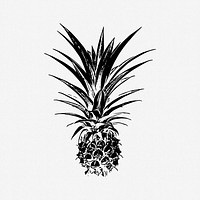 Pineapple fruit clip art vector. Free public domain CC0 image.