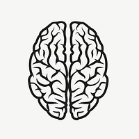 Brain image element