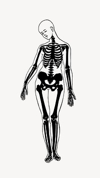 Skeletal structure woman image element