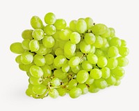 Bunch of green grapes isolated image