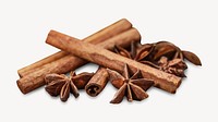 Cinnamon & anise spices isolated design