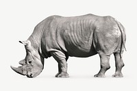 Rhinoceros collage element psd