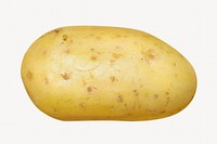 Potato isolated image