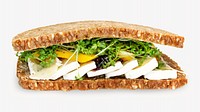 Brie sandwich image on white design