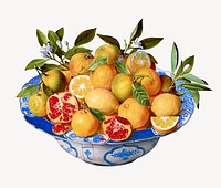 Fruit bowl isolated image on white