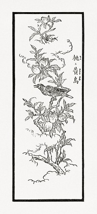 Japanese crow on a tree, vintage animal illustration. Public domain image from our own original 1884 edition of The Ornamental Arts Of Japan. Digitally enhanced by rawpixel.