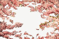 Vintage cherry blossoms frame chromolithograph art psd. Remixed by rawpixel. 