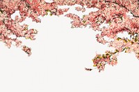 Vintage cherry blossoms chromolithograph art. Remixed by rawpixel. 