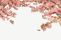 Vintage cherry blossoms border chromolithograph art psd. Remixed by rawpixel. 