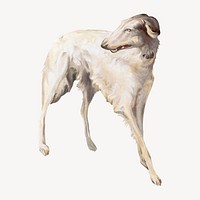 Borzoi dog vintage illustration. Remixed by rawpixel. 