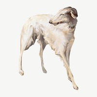 Borzoi dog  collage element, vintage illustration psd. Remixed by rawpixel. 