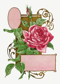 Vintage pink rose chromolithograph art psd. Remixed by rawpixel. 