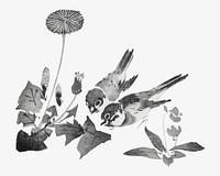 Sparrow birds, Japanese traditional illustration by Teisai Hokuba. Remixed by rawpixel.