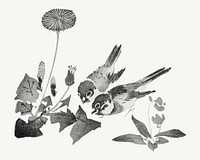 Sparrow birds, Japanese traditional illustration by Teisai Hokuba psd. Remixed by rawpixel.