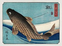 Carp (1835-1839), Japanese fish illustration by Utagawa Hiroshige. Original public domain image from The Minneapolis Institute of Art.  Digitally enhanced by rawpixel.