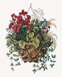 Rustic basket, vintage botanical illustration by Currier & Ives. Remixed by rawpixel.