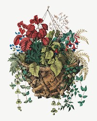 Rustic basket, vintage botanical illustration by Currier & Ives psd. Remixed by rawpixel.