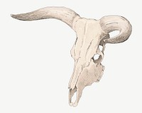 Cow skull, vintage illustration by P. C. Skovgaard psd. Remixed by rawpixel.