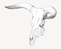 Cow skull, vintage illustration by P. C. Skovgaard. Remixed by rawpixel.