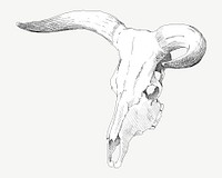 Cow skull, vintage illustration by P. C. Skovgaard psd. Remixed by rawpixel.