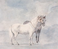 William Beckford's Ponies (1751-1801), vintage horse illustration by William Hamilton. Original public domain image from Yale Center for British Art.  Digitally enhanced by rawpixel.