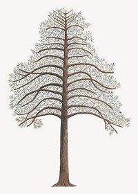 Pine Tree, vintage botanical illustration. Remixed by rawpixel.