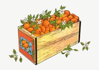 Vintage box of oranges chromolithograph illustration psd. Remixed by rawpixel.