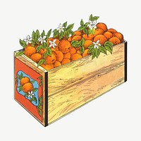 Vintage box of oranges chromolithograph illustration psd. Remixed by rawpixel.