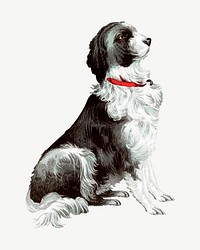 Vintage English Springer Spaniel dog illustration psd. Remixed by rawpixel.