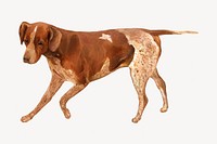 English Pointer dog, vintage animal illustration. Remixed by rawpixel.
