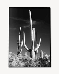 Cactus picture frame  isolated design