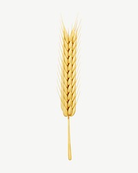 3D wheat branch, collage element psd