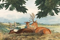 Watercolor deer background. Remixed by rawpixel.