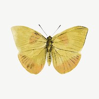 Watercolor yellow butterfly collage element psd. Remixed by rawpixel.
