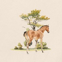 Watercolor  horse foal collage element. Remixed by rawpixel.