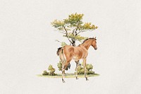 Horse watercolor collage element. Remixed by rawpixel.