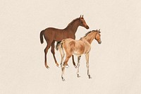 Horse foals watercolor collage element. Remixed by rawpixel.