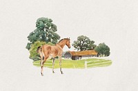 Horse watercolor collage element. Remixed by rawpixel.