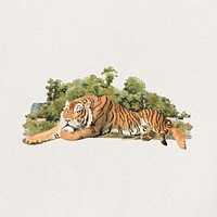 Watercolor tiger collage element. Remixed by rawpixel.