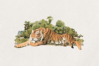 Watercolor tiger collage element. Remixed by rawpixel.