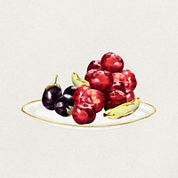 Watercolor fruits  collage element. Remixed by rawpixel.